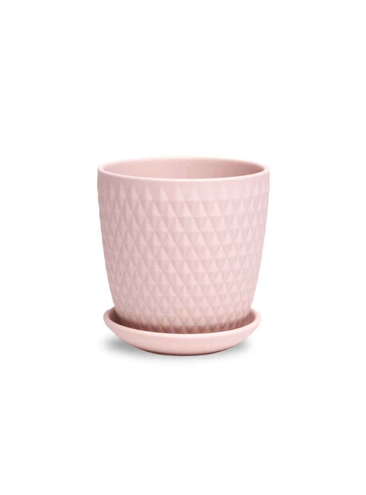 Virago 3.5" Porcelain Pot With Drainage Hole And Saucer - Chive Ceramics Studio - Pots - Chive Ceramics Studio