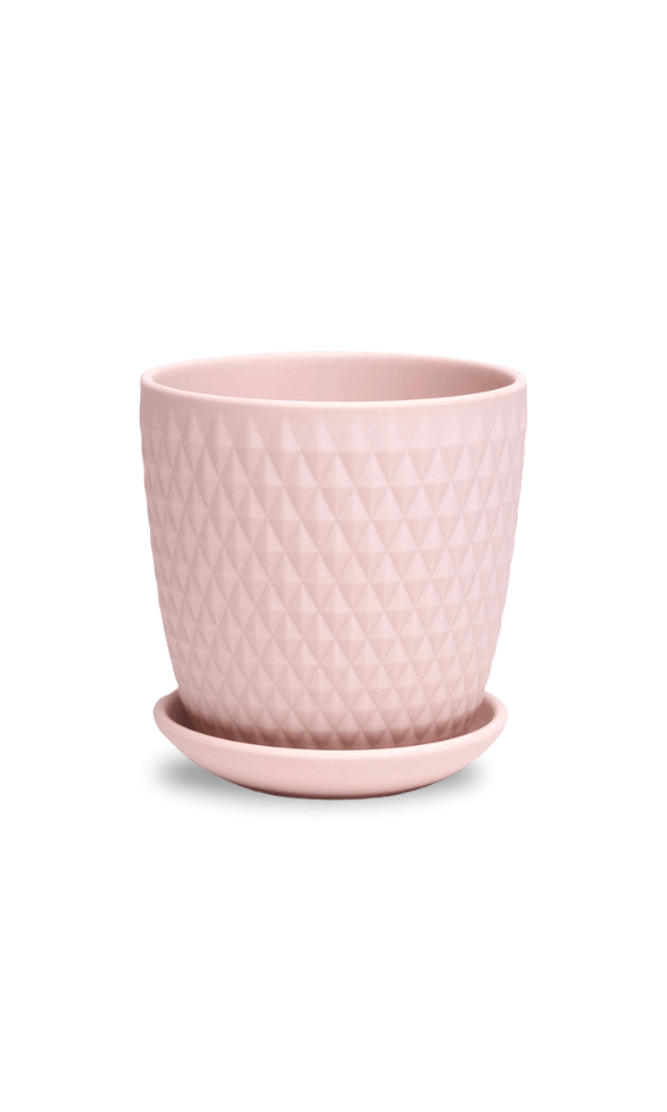 Virago 3.5" Porcelain Pot With Drainage Hole And Saucer - Chive Ceramics Studio - Pots - Chive Ceramics Studio