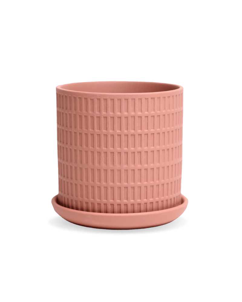 Virago 3.5" Porcelain Pot With Drainage Hole And Saucer - Chive Ceramics Studio - Pots - Chive Ceramics Studio