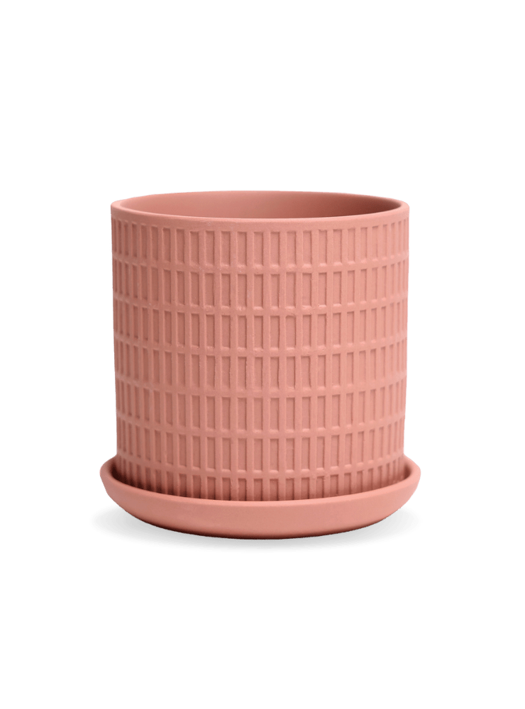 Virago 3.5" Porcelain Pot With Drainage Hole And Saucer - Chive Ceramics Studio - Pots - Chive Ceramics Studio