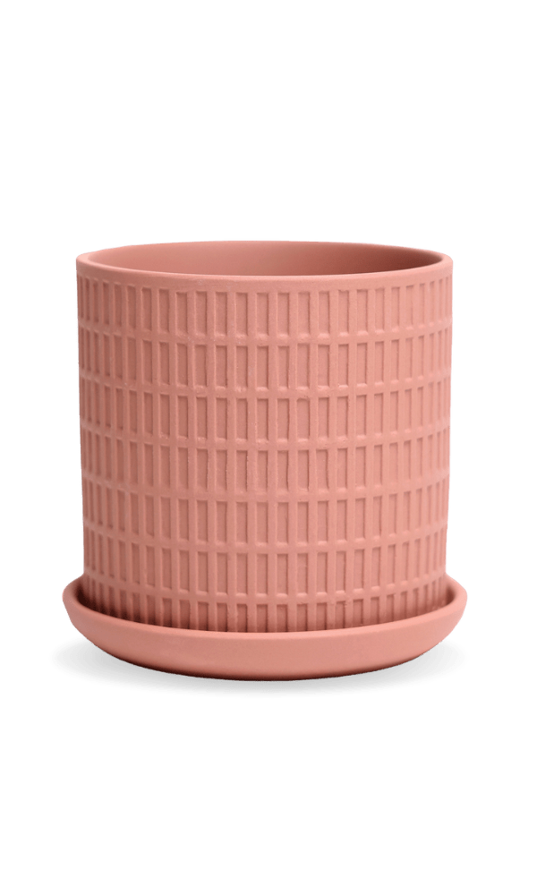 Virago 3.5" Porcelain Pot With Drainage Hole And Saucer - Chive Ceramics Studio - Pots - Chive Ceramics Studio