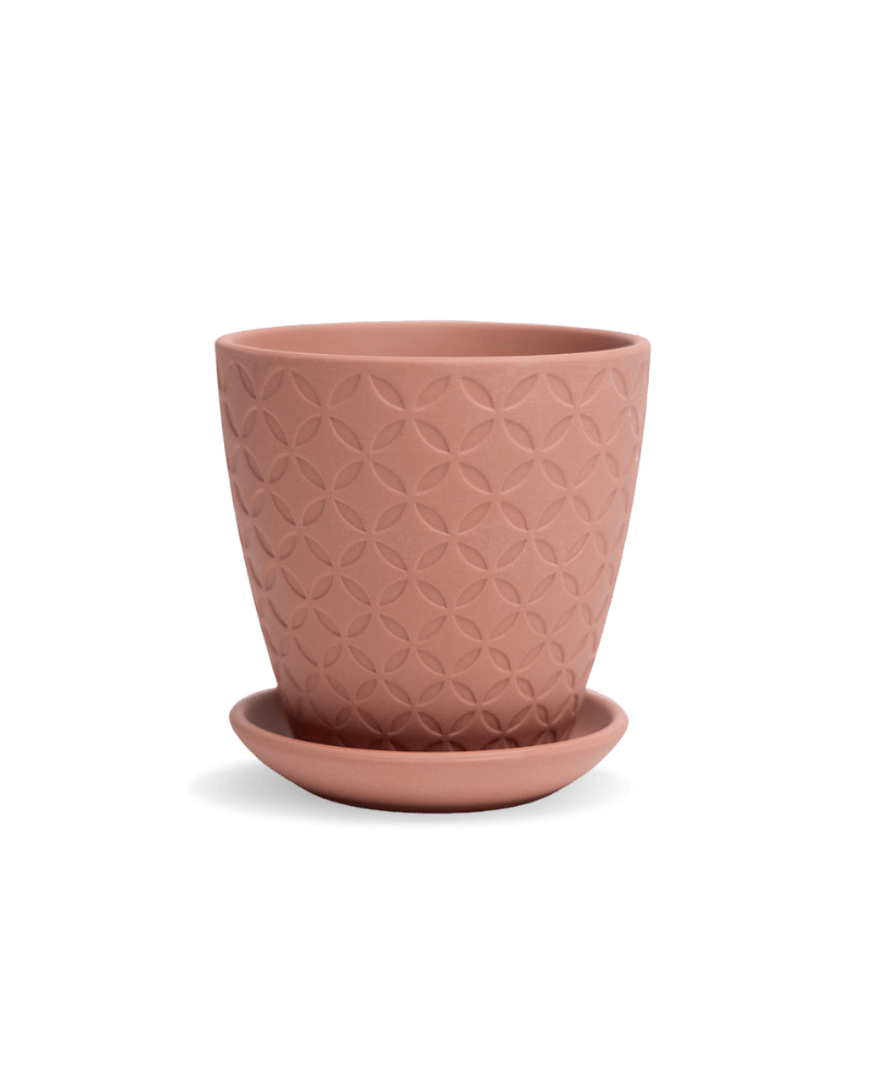 Virago 3.5" Porcelain Pot With Drainage Hole And Saucer - Chive Ceramics Studio - Pots - Chive Ceramics Studio