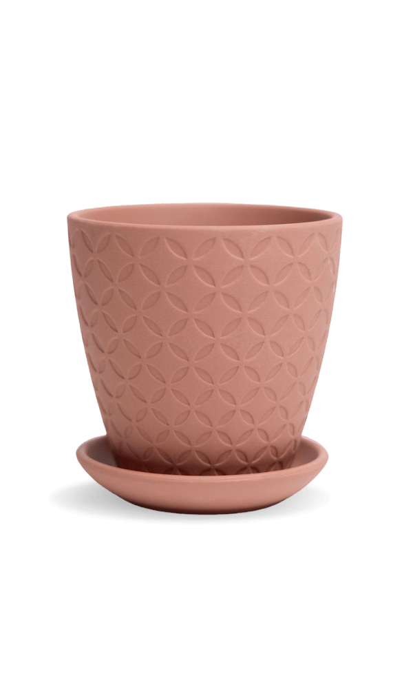 Virago 3.5" Porcelain Pot With Drainage Hole And Saucer - Chive Ceramics Studio - Pots - Chive Ceramics Studio