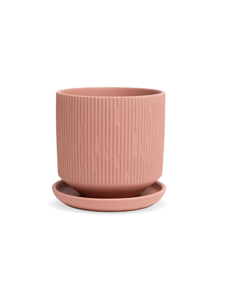 Virago 3.5" Porcelain Pot With Drainage Hole And Saucer - Chive Ceramics Studio - Pots - Chive Ceramics Studio