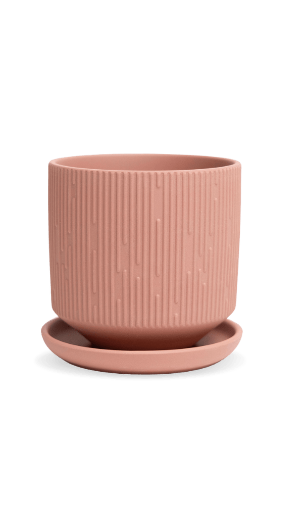 Virago 3.5" Porcelain Pot With Drainage Hole And Saucer - Chive Ceramics Studio - Pots - Chive Ceramics Studio