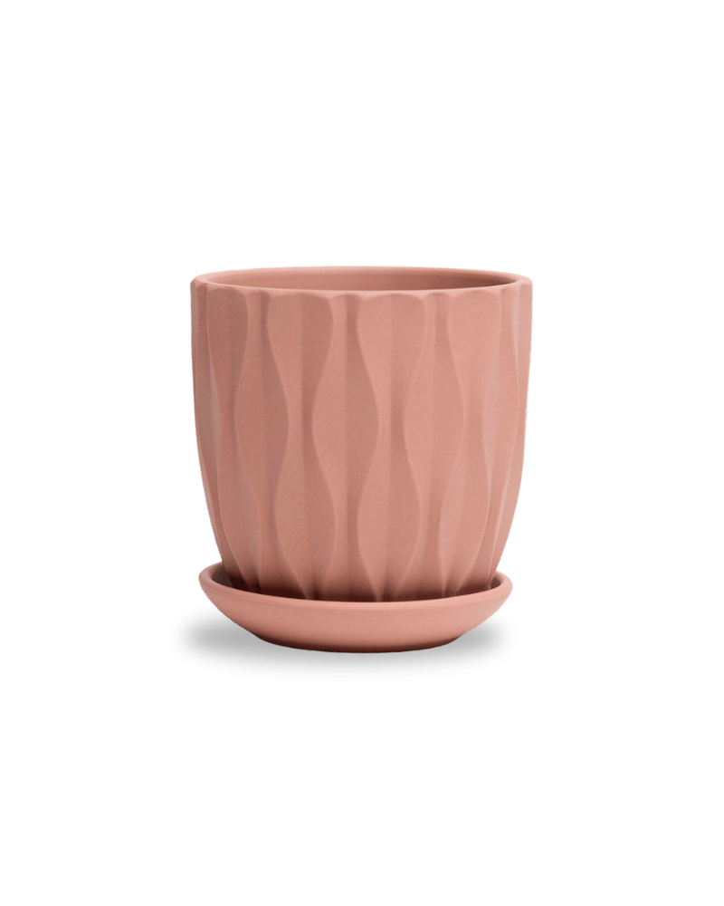 Virago 3.5" Porcelain Pot With Drainage Hole And Saucer - Chive Ceramics Studio - Pots - Chive Ceramics Studio