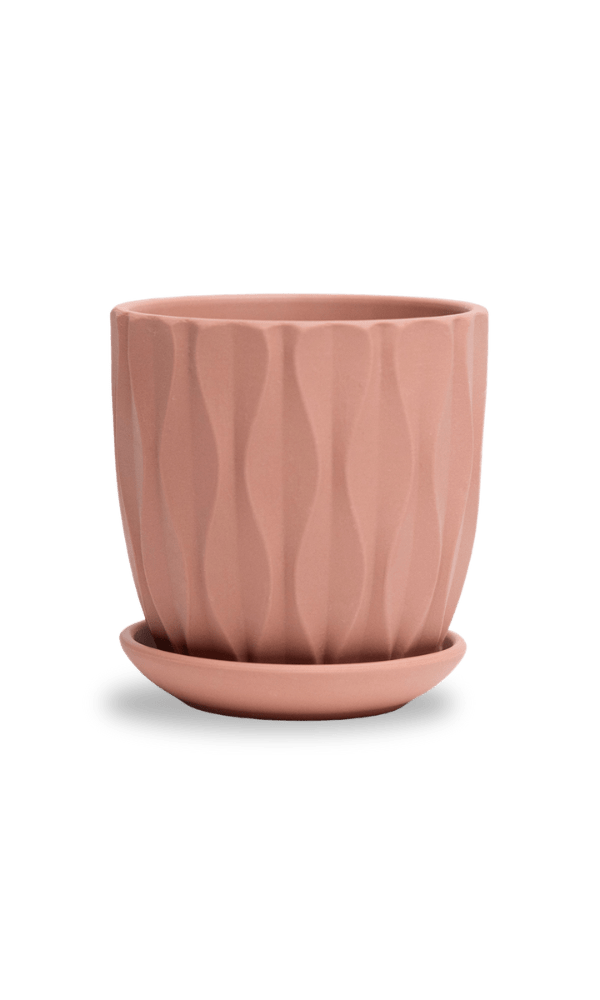 Virago 3.5" Porcelain Pot With Drainage Hole And Saucer - Chive Ceramics Studio - Pots - Chive Ceramics Studio