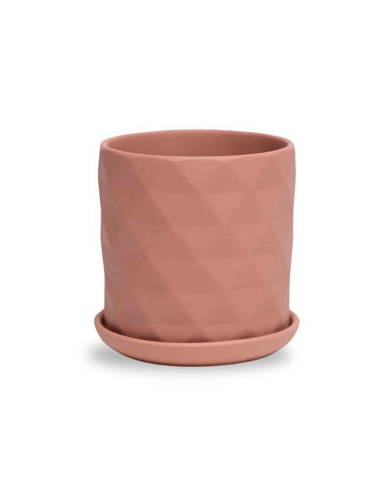 Virago 3.5" Porcelain Pot With Drainage Hole And Saucer - Chive Ceramics Studio - Pots - Chive Ceramics Studio