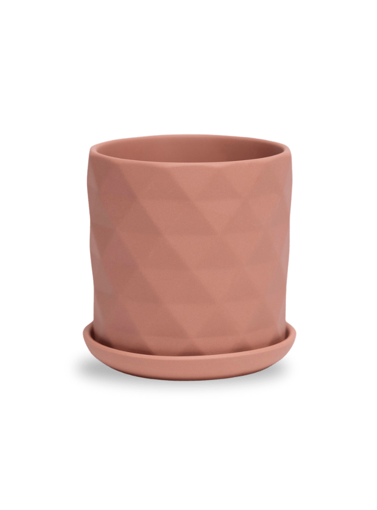 Virago 3.5" Porcelain Pot With Drainage Hole And Saucer - Chive Ceramics Studio - Pots - Chive Ceramics Studio