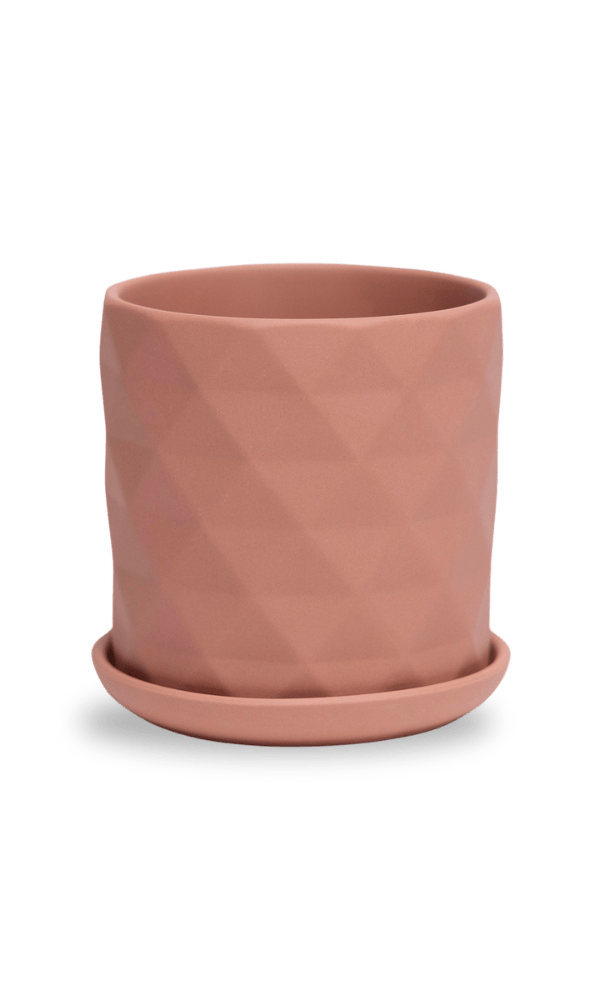 Virago 3.5" Porcelain Pot With Drainage Hole And Saucer - Chive Ceramics Studio - Pots - Chive Ceramics Studio