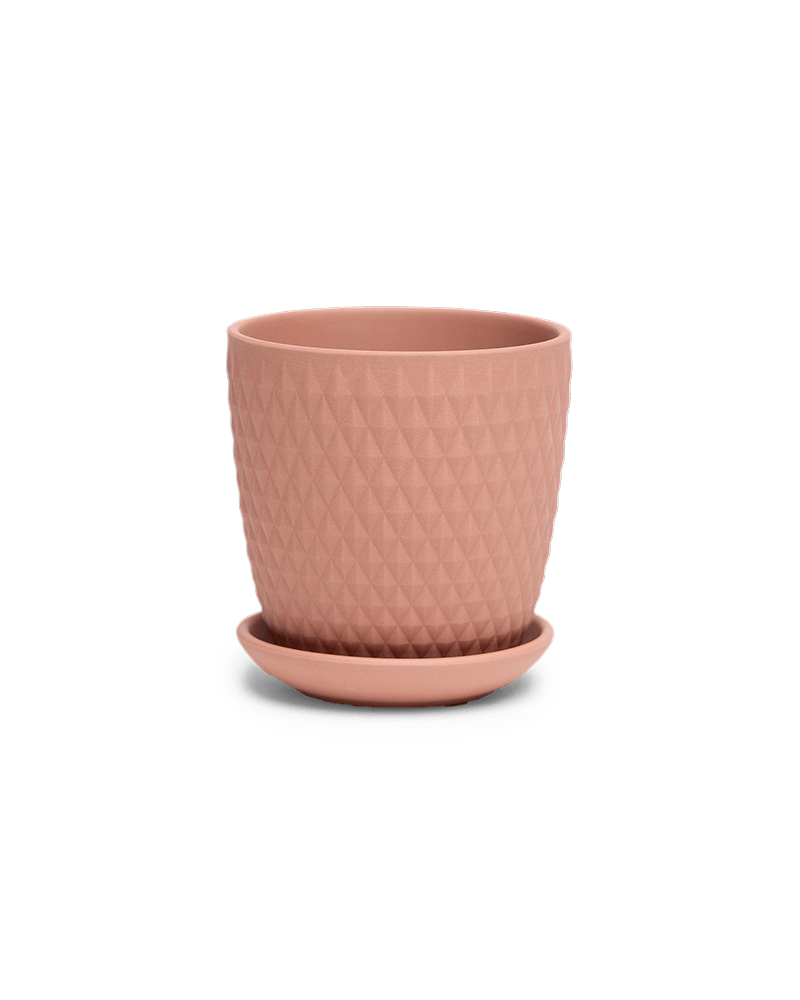 Virago 3.5" Porcelain Pot With Drainage Hole And Saucer - Chive Ceramics Studio - Pots - Chive Ceramics Studio