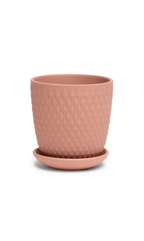 Virago 3.5" Porcelain Pot With Drainage Hole And Saucer - Chive Ceramics Studio - Pots - Chive Ceramics Studio