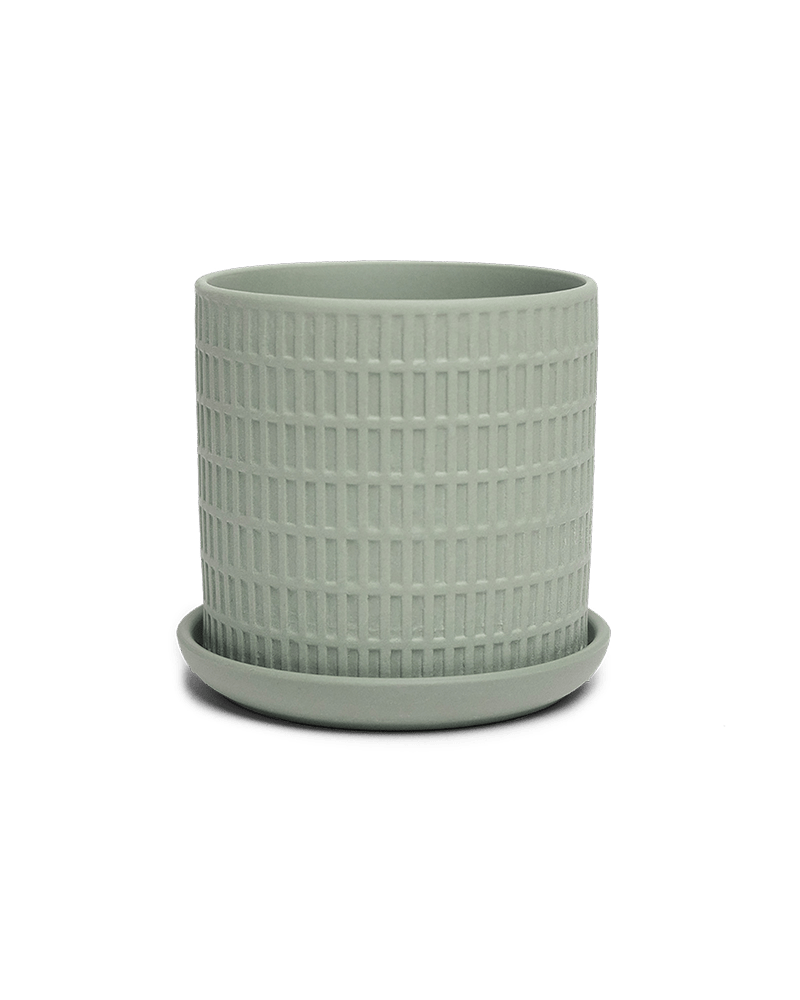 Virago 3.5" Porcelain Pot With Drainage Hole And Saucer - Chive Ceramics Studio - Pots - Chive Ceramics Studio