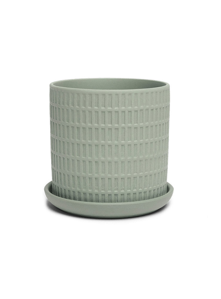 Virago 3.5" Porcelain Pot With Drainage Hole And Saucer - Chive Ceramics Studio - Pots - Chive Ceramics Studio