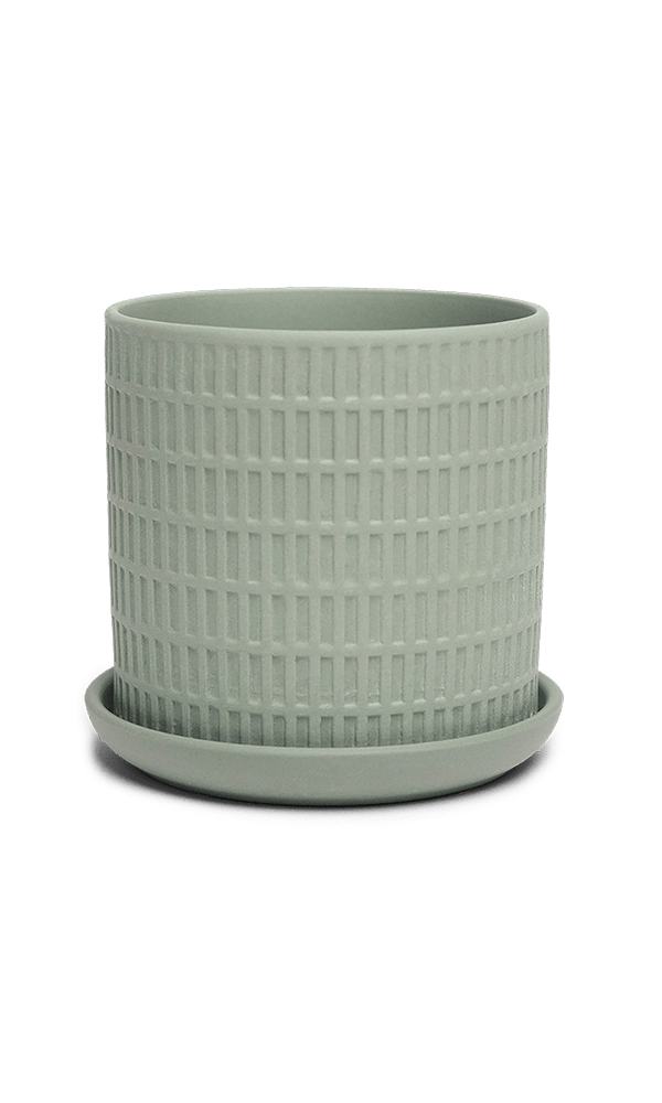 Virago 3.5" Porcelain Pot With Drainage Hole And Saucer - Chive Ceramics Studio - Pots - Chive Ceramics Studio