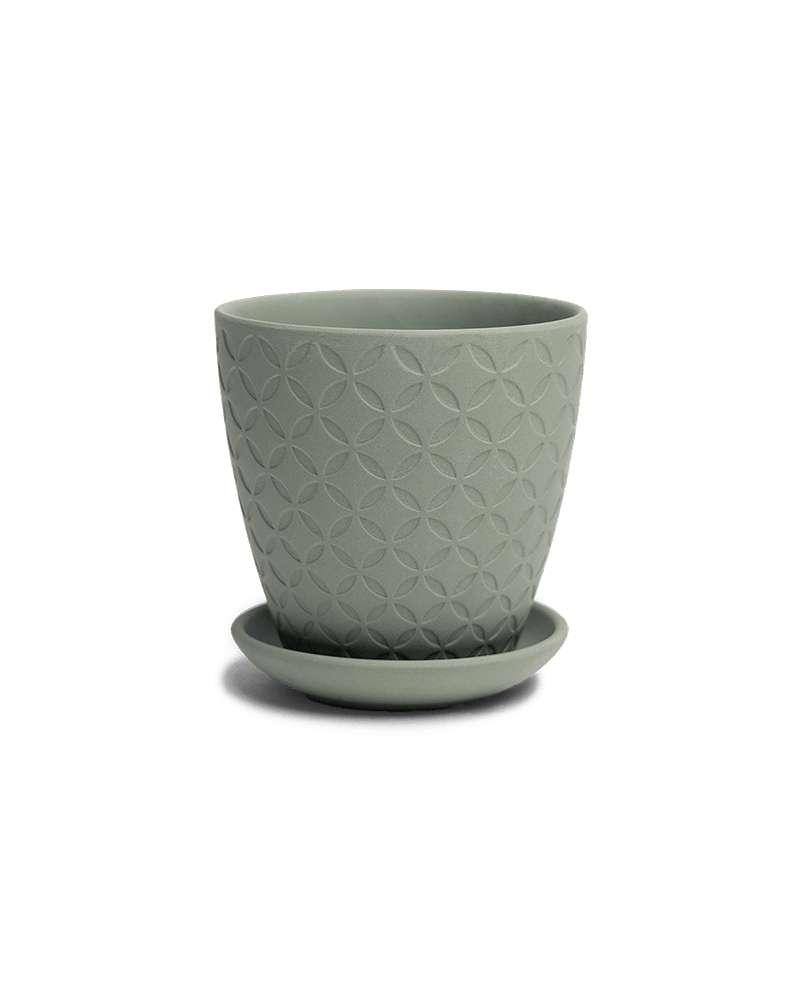 Virago 3.5" Porcelain Pot With Drainage Hole And Saucer - Chive Ceramics Studio - Pots - Chive Ceramics Studio