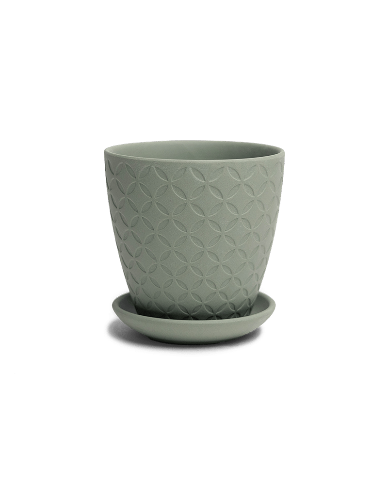 Virago 3.5" Porcelain Pot With Drainage Hole And Saucer - Chive Ceramics Studio - Pots - Chive Ceramics Studio