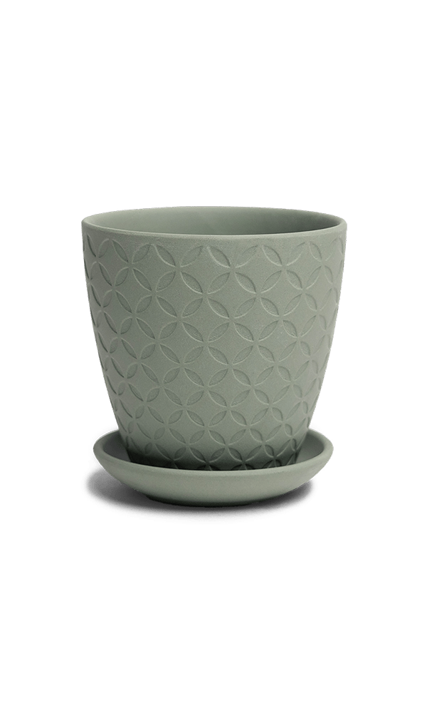 Virago 3.5" Porcelain Pot With Drainage Hole And Saucer - Chive Ceramics Studio - Pots - Chive Ceramics Studio