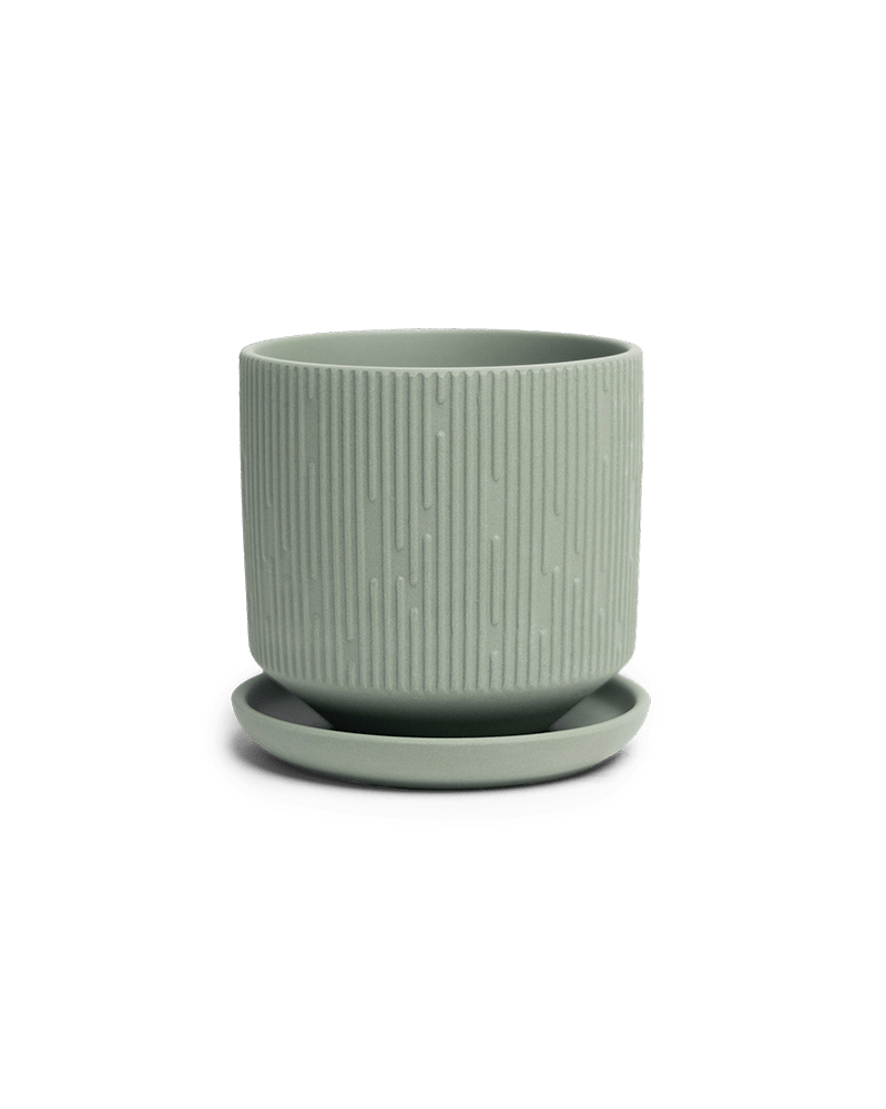 Virago 3.5" Porcelain Pot With Drainage Hole And Saucer - Chive Ceramics Studio - Pots - Chive Ceramics Studio