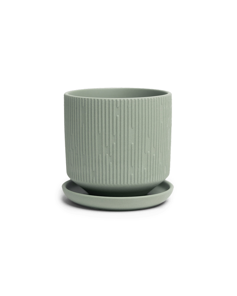 Virago 3.5" Porcelain Pot With Drainage Hole And Saucer - Chive Ceramics Studio - Pots - Chive Ceramics Studio