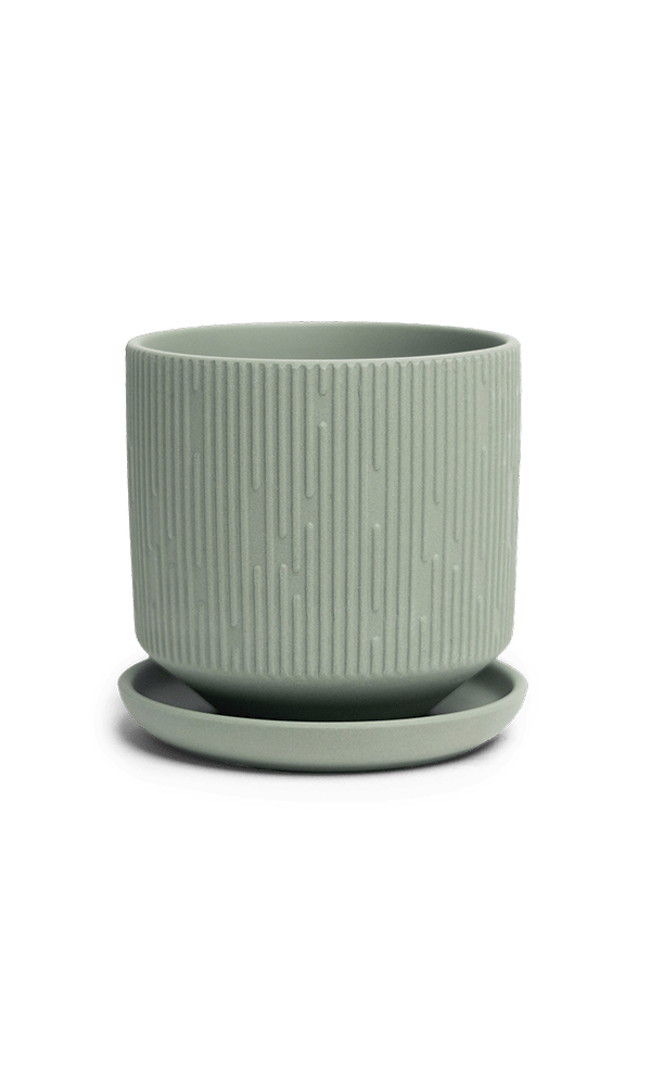 Virago 3.5" Porcelain Pot With Drainage Hole And Saucer - Chive Ceramics Studio - Pots - Chive Ceramics Studio