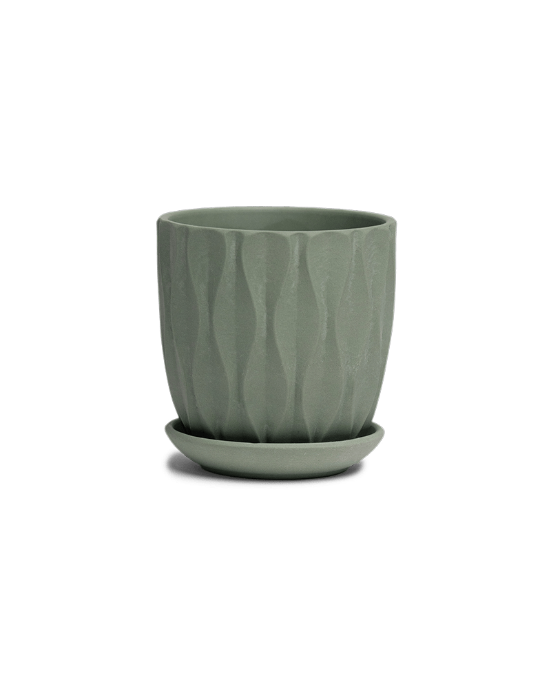 Virago 3.5" Porcelain Pot With Drainage Hole And Saucer - Chive Ceramics Studio - Pots - Chive Ceramics Studio