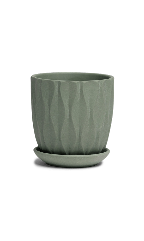 Virago 3.5" Porcelain Pot With Drainage Hole And Saucer - Chive Ceramics Studio - Pots - Chive Ceramics Studio