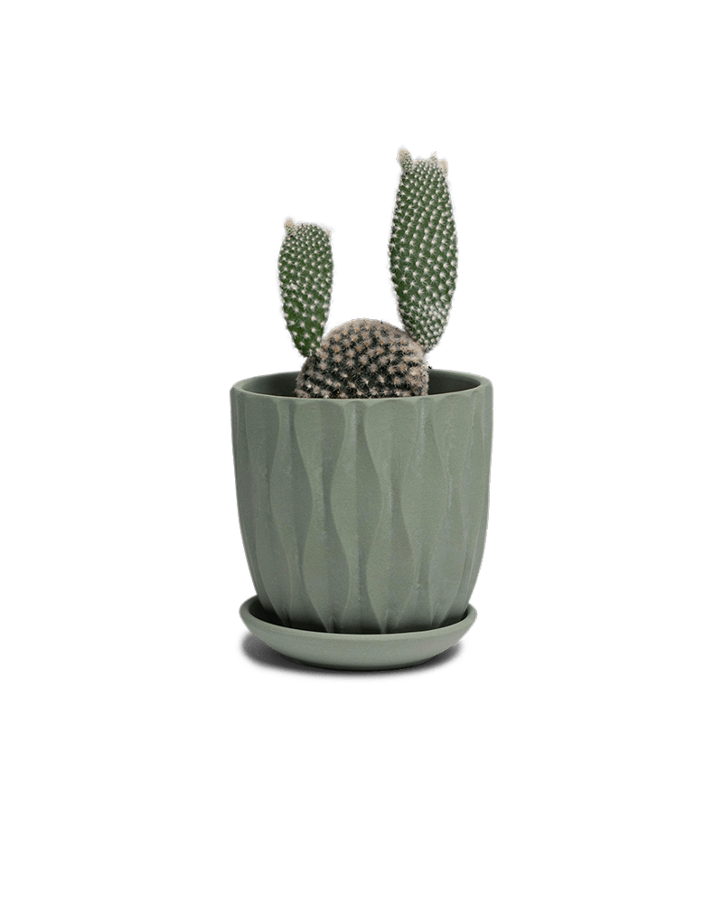 Virago 3.5" Porcelain Pot With Drainage Hole And Saucer - Chive Ceramics Studio - Pots - Chive Ceramics Studio