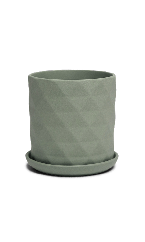 Virago 3.5" Porcelain Pot With Drainage Hole And Saucer - Chive Ceramics Studio - Pots - Chive Ceramics Studio