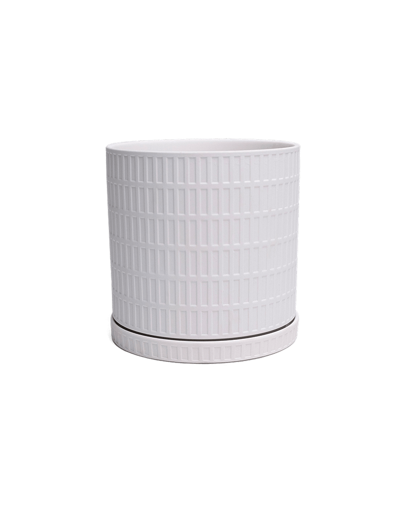 Virago Porcelain Large Indoor Pot With Drainage Hole And Saucer - Chive Ceramics Studio - Pots - Chive US