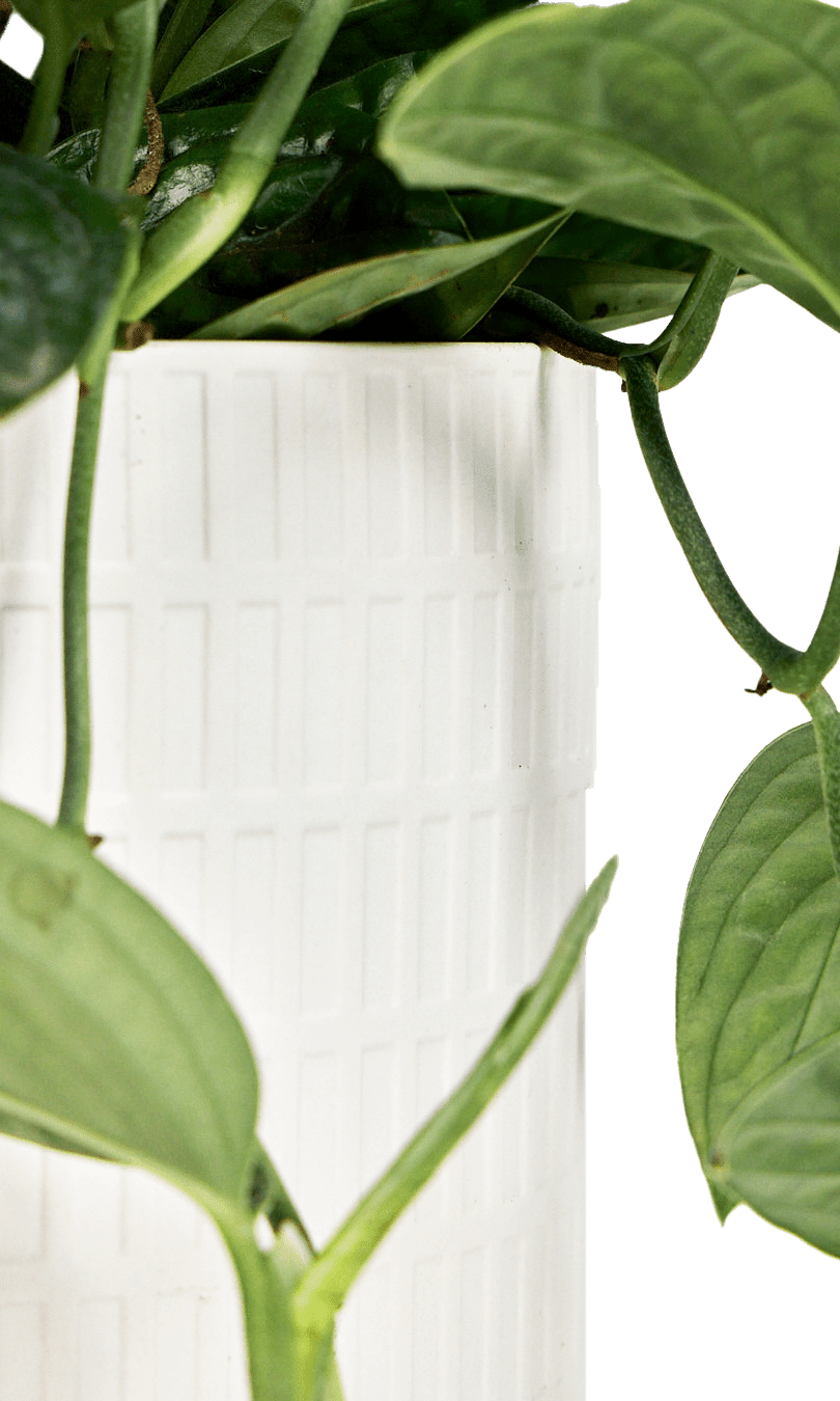 Virago Porcelain Large Indoor Pot With Drainage Hole And Saucer - Chive Ceramics Studio - Pots - Chive US