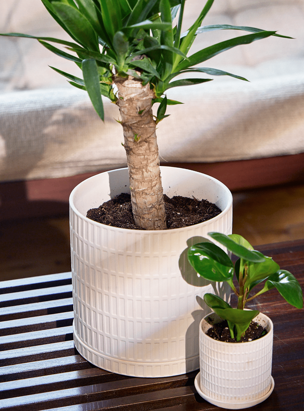 Virago Porcelain Large Indoor Pot With Drainage Hole And Saucer - Chive Ceramics Studio - Pots - Chive US