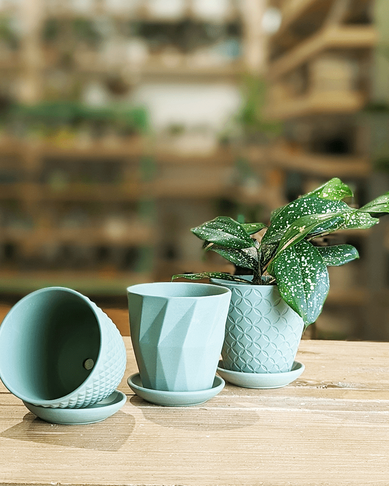 Virago 3.5" Porcelain Pot With Drainage Hole And Saucer - Chive Ceramics Studio - Pots - Chive Ceramics Studio