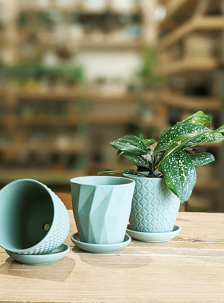 Virago 3.5" Porcelain Pot With Drainage Hole And Saucer - Chive Ceramics Studio - Pots - Chive Ceramics Studio