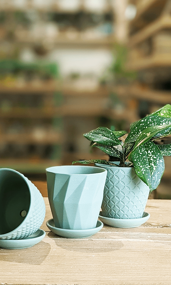 Virago 3.5" Porcelain Pot With Drainage Hole And Saucer - Chive Ceramics Studio - Pots - Chive Ceramics Studio