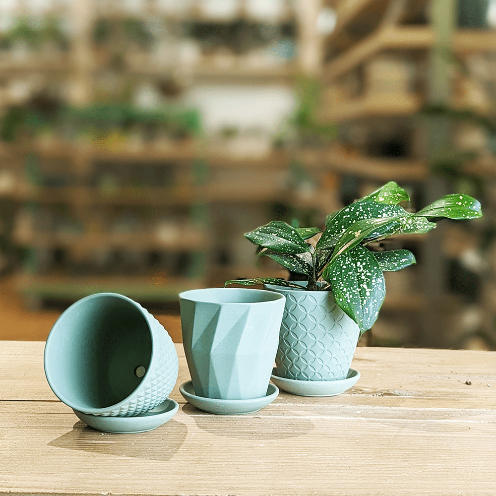 Virago 3.5" Porcelain Pot With Drainage Hole And Saucer - Chive Ceramics Studio - Pots - Chive Ceramics Studio