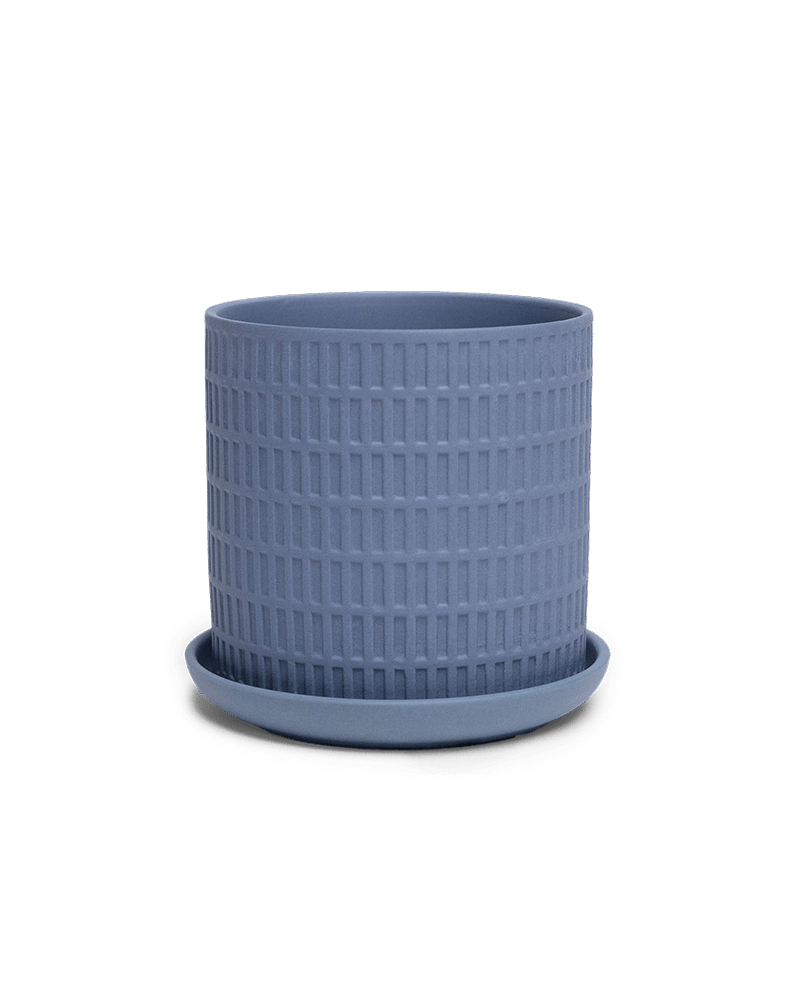 Virago 3.5" Porcelain Pot With Drainage Hole And Saucer - Chive Ceramics Studio - Pots - Chive Ceramics Studio