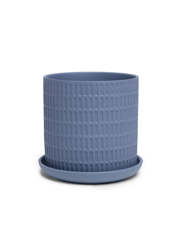 Virago 3.5" Porcelain Pot With Drainage Hole And Saucer - Chive Ceramics Studio - Pots - Chive Ceramics Studio