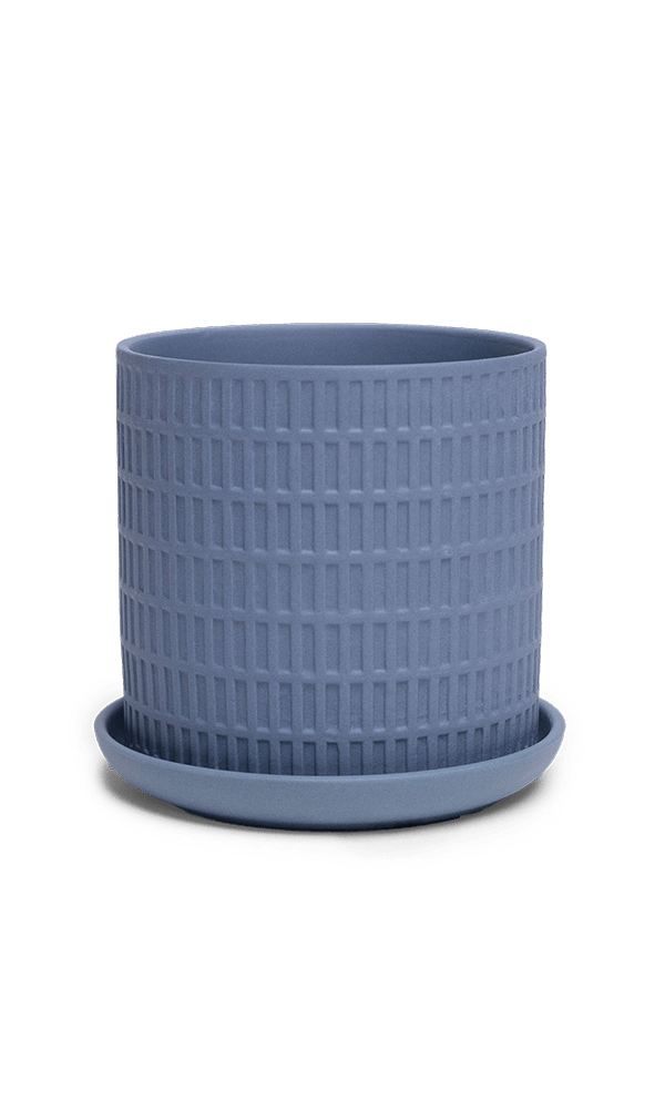 Virago 3.5" Porcelain Pot With Drainage Hole And Saucer - Chive Ceramics Studio - Pots - Chive Ceramics Studio