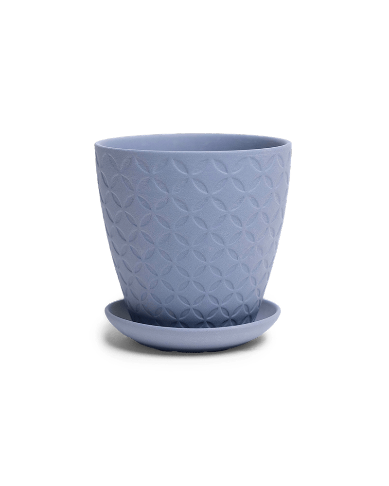 Virago 3.5" Porcelain Pot With Drainage Hole And Saucer - Chive Ceramics Studio - Pots - Chive Ceramics Studio