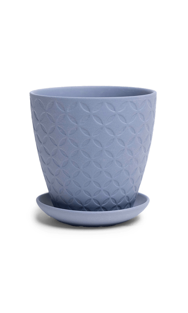 Virago 3.5" Porcelain Pot With Drainage Hole And Saucer - Chive Ceramics Studio - Pots - Chive Ceramics Studio