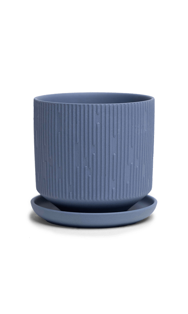 Virago 3.5" Porcelain Pot With Drainage Hole And Saucer - Chive Ceramics Studio - Pots - Chive Ceramics Studio