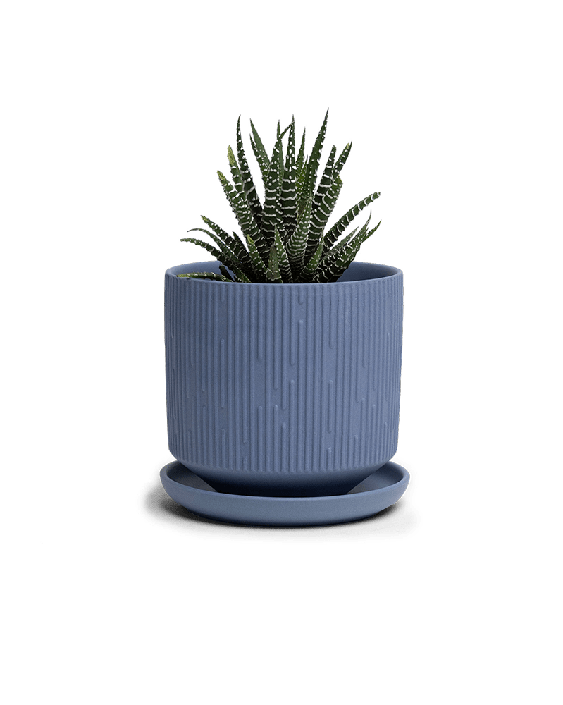 Virago 3.5" Porcelain Pot With Drainage Hole And Saucer - Chive Ceramics Studio - Pots - Chive Ceramics Studio