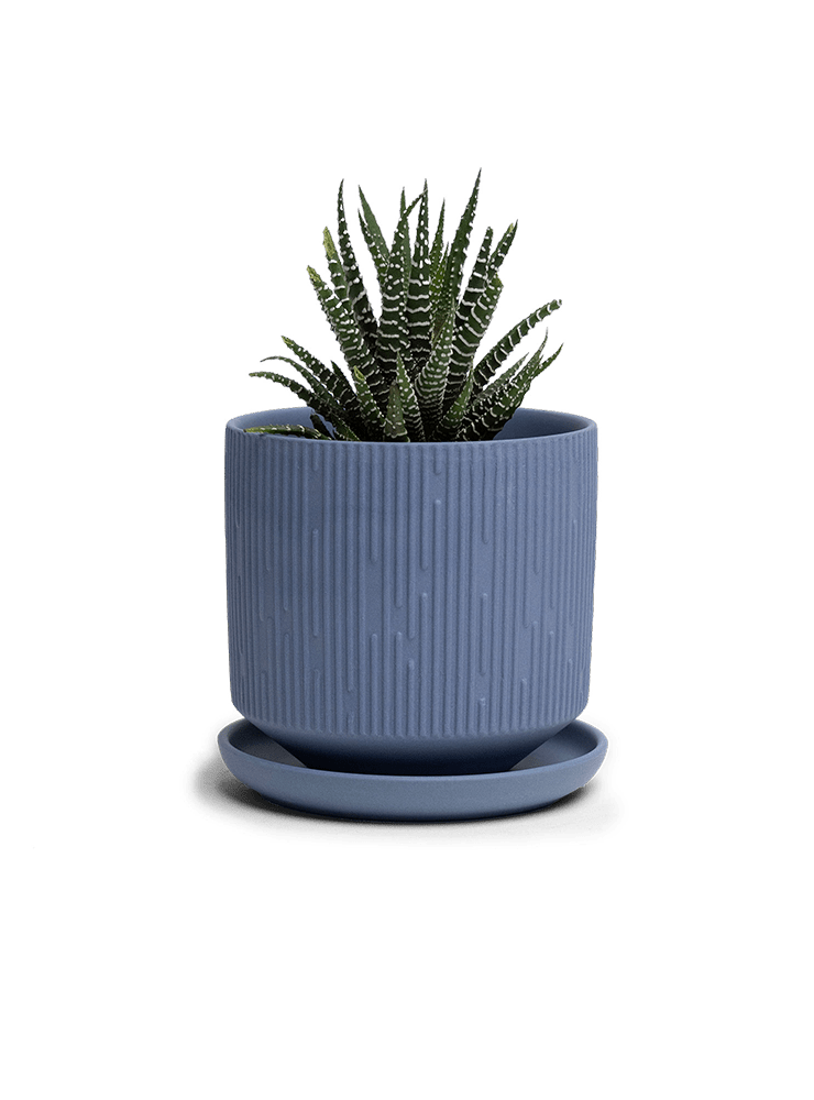 Virago 3.5" Porcelain Pot With Drainage Hole And Saucer - Chive Ceramics Studio - Pots - Chive Ceramics Studio