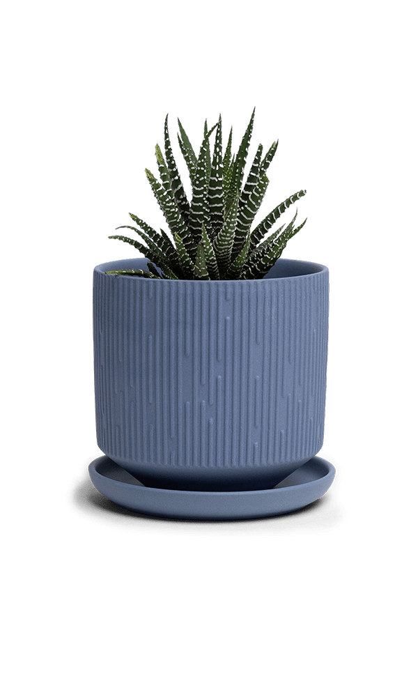 Virago 3.5" Porcelain Pot With Drainage Hole And Saucer - Chive Ceramics Studio - Pots - Chive Ceramics Studio