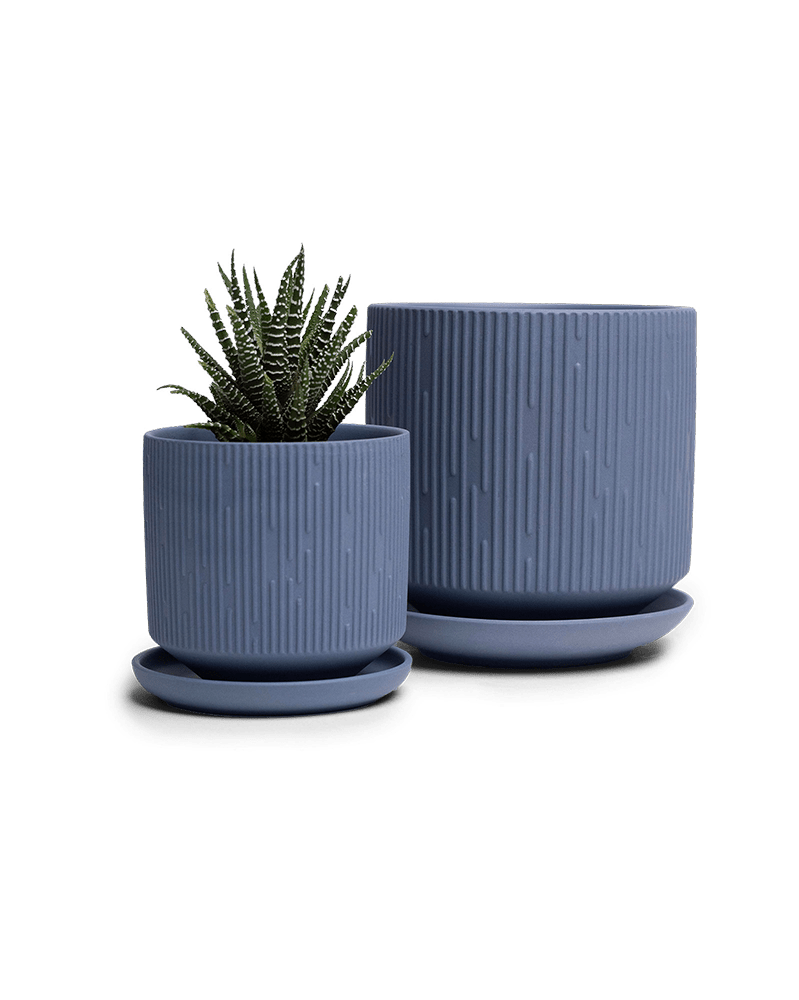 Virago 3.5" Porcelain Pot With Drainage Hole And Saucer - Chive Ceramics Studio - Pots - Chive Ceramics Studio