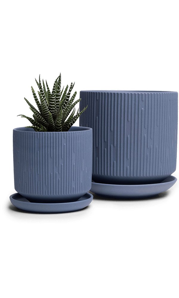 Virago 3.5" Porcelain Pot With Drainage Hole And Saucer - Chive Ceramics Studio - Pots - Chive Ceramics Studio