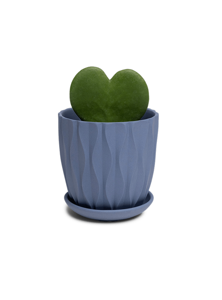 Virago 3.5" Porcelain Pot With Drainage Hole And Saucer - Chive Ceramics Studio - Pots - Chive Ceramics Studio