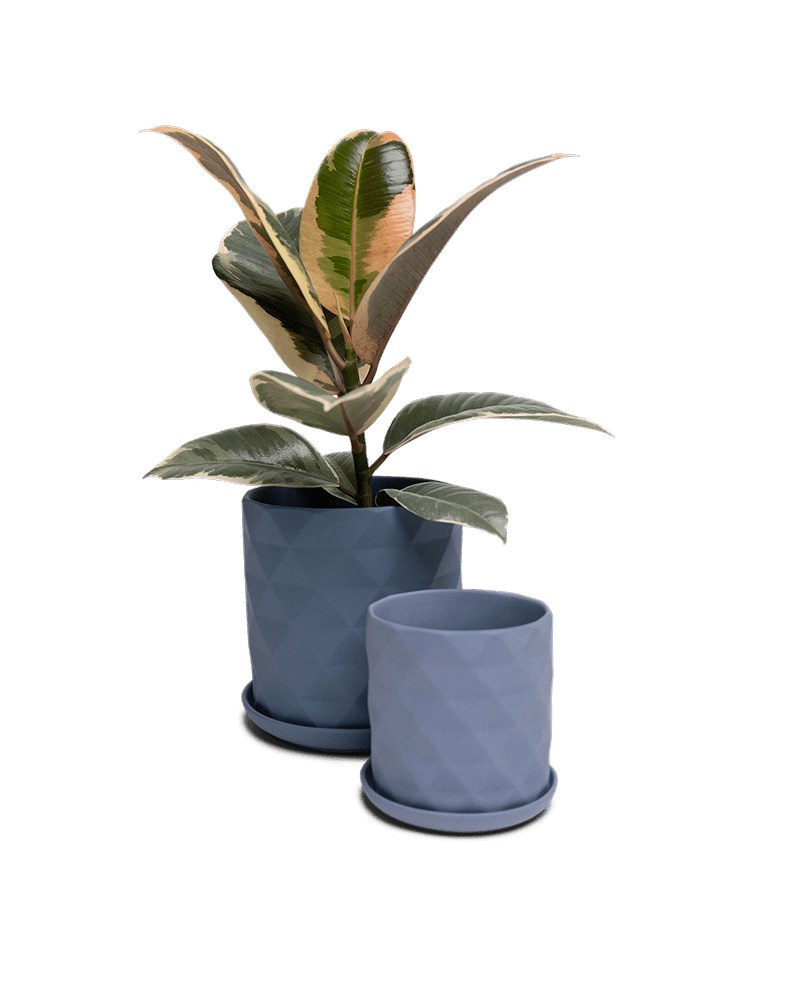 Virago 3.5" Porcelain Pot With Drainage Hole And Saucer - Chive Ceramics Studio - Pots - Chive Ceramics Studio