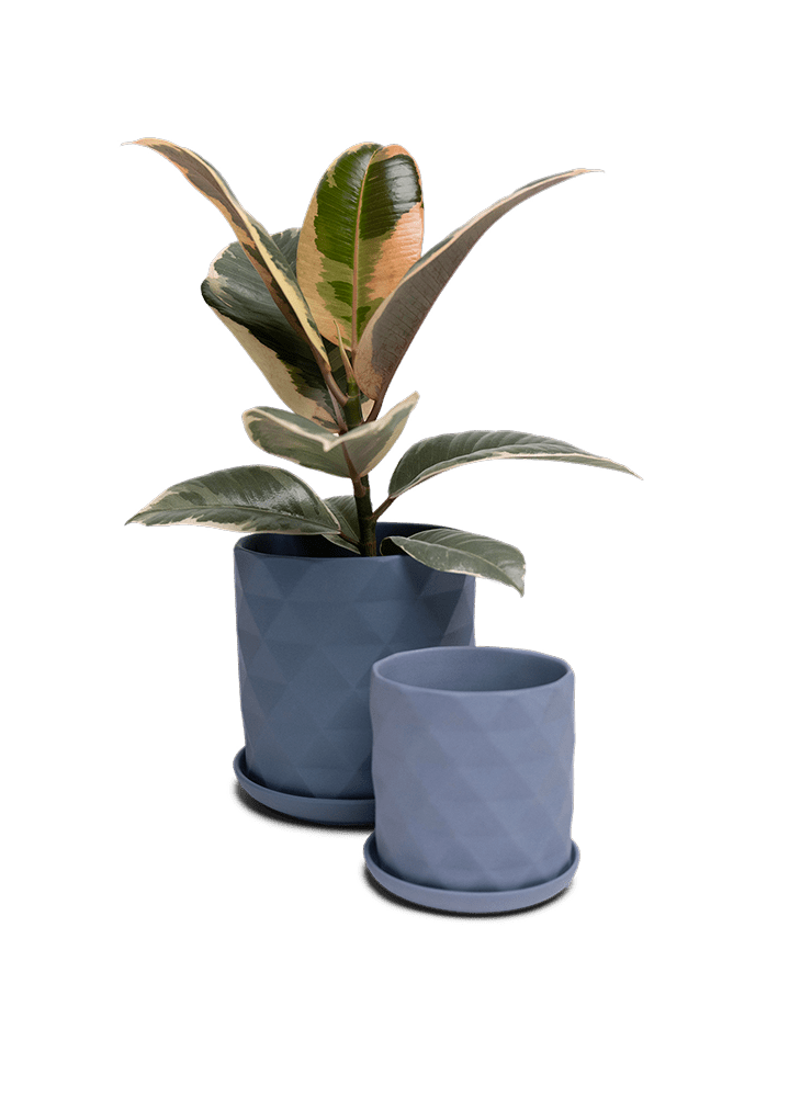 Virago 3.5" Porcelain Pot With Drainage Hole And Saucer - Chive Ceramics Studio - Pots - Chive Ceramics Studio